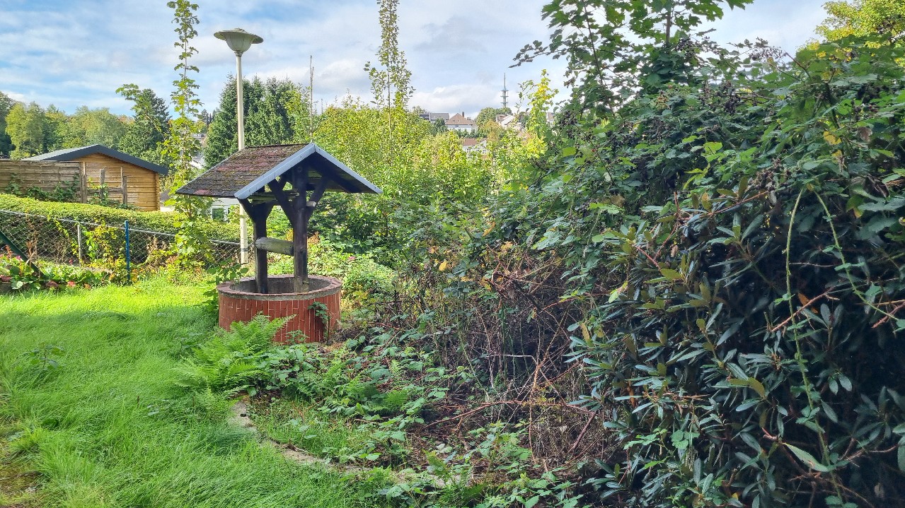 Foto der Immobilie (15035)