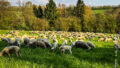 Umgebung / Landschaft (Kundenbilder)
