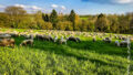 Umgebung / Landschaft (Kundenbilder)