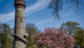 Direktes Umfeld (Toelleturm)