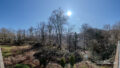 Ausblick vom Balkon